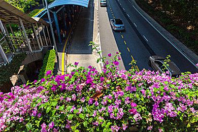 《怪物猎人崛起》曙光DLC Steam评价“多半好评” 游戏闪退严重